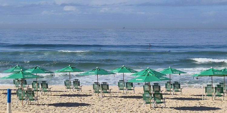 Novíssimo Dicionário de Carioquês