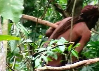 ‘Herdeiros’ de Tanaru pedem demarcação de Terra Indígena onde isolado viveu em fuga