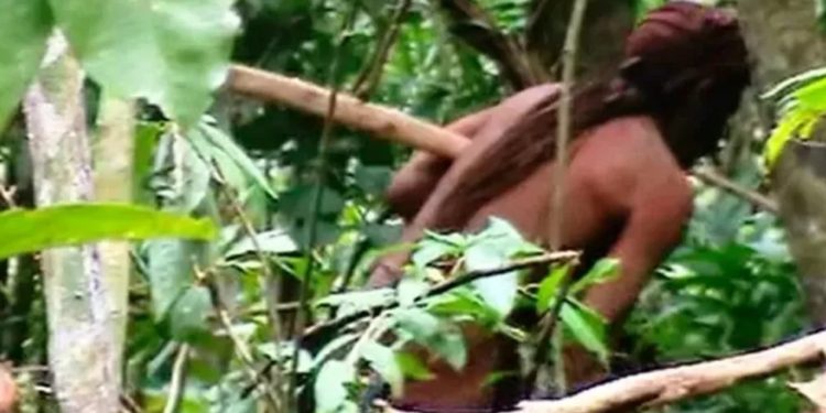 ‘Herdeiros’ de Tanaru pedem demarcação de Terra Indígena onde isolado viveu em fuga