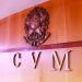 CVM vai ao STF por mudanças feitas pela União em plano emergencial