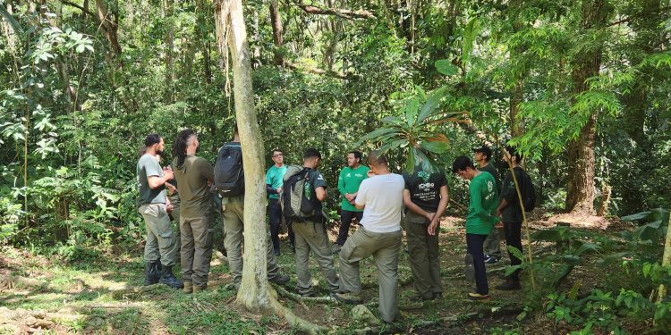 Com número recorde de visitantes, Parque Nacional da Tijuca amplia estrutura e ações educativas para garantir preservação ambiental