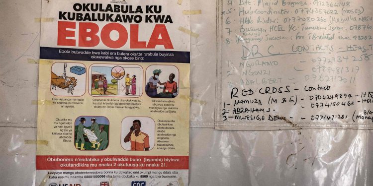 Ebola: por que o contágio é difícil e restrito?