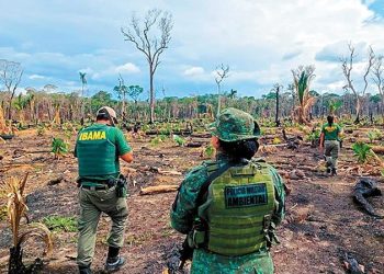 Em meio a derrotas na Câmara, Frente Ambientalista tenta suavizar textos dos projetos da 'Semana do agro'; Entenda