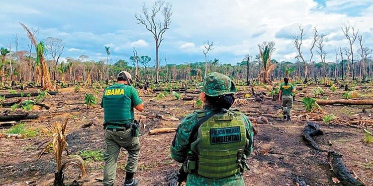 Em meio a derrotas na Câmara, Frente Ambientalista tenta suavizar textos dos projetos da 'Semana do agro'; Entenda