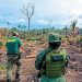 Em meio a derrotas na Câmara, Frente Ambientalista tenta suavizar textos dos projetos da 'Semana do agro'; Entenda