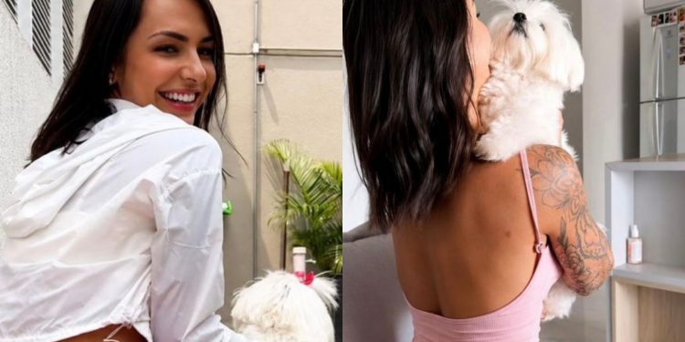 Gasto de R$ 4 mil por mês com dieta de pet chama atenção após relato de influenciadora