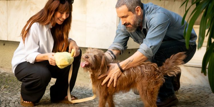 Giovanna Antonelli e Caco Ciocler viverão romance em novo filme de Rosane Svartman