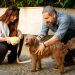 Giovanna Antonelli e Caco Ciocler viverão romance em novo filme de Rosane Svartman
