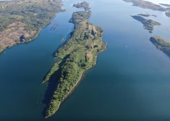 Ilha inteira é colocada à venda por R$ 66,5 milhões na Escócia... e mais de 100 ovelhas e cabras estão incluídas