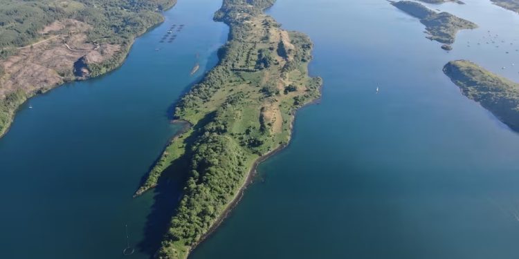 Ilha inteira é colocada à venda por R$ 66,5 milhões na Escócia... e mais de 100 ovelhas e cabras estão incluídas