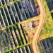 Parque de energia solar da Engie no RN: empresa está mais rigorosa na avaliação de novos projetos no país — Foto: Divulgação