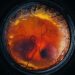 Ovo artificial com membrana de silicone pode ser 'chave' para reviver espécies extintas — Foto: Reprodução: Colossal Biosciences