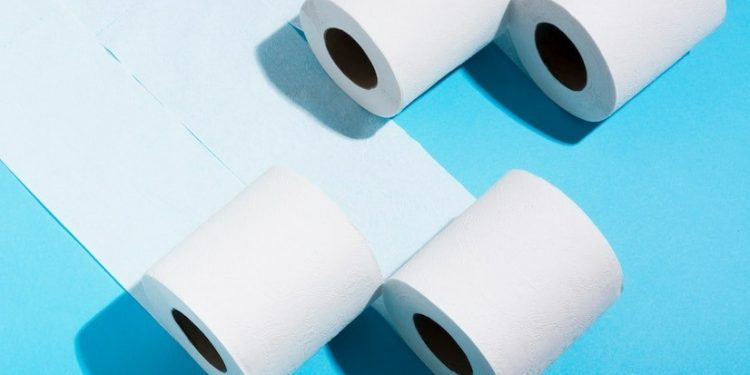 O papel higiênico deve ser pendurado com a folha para a frente ou para trás? 130 anos depois, veja a resposta correta