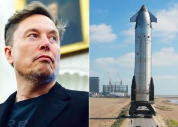 O que é um IPO? Entenda processo que pode avaliar empresa de Elon Musk em quase R$ 10 trilhões