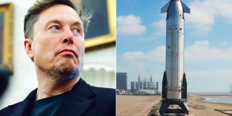 O que é um IPO? Entenda processo que pode avaliar empresa de Elon Musk em quase R$ 10 trilhões