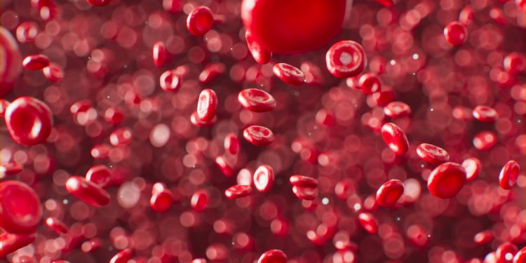 Prevenção definitiva do colesterol? Cientistas mostram que pode ser possível