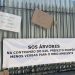 Remoção de árvores: prefeito recebe artistas e ambientalistas para discutir supressão de vegetação em terrenos de novos empreendimentos imobiliários
