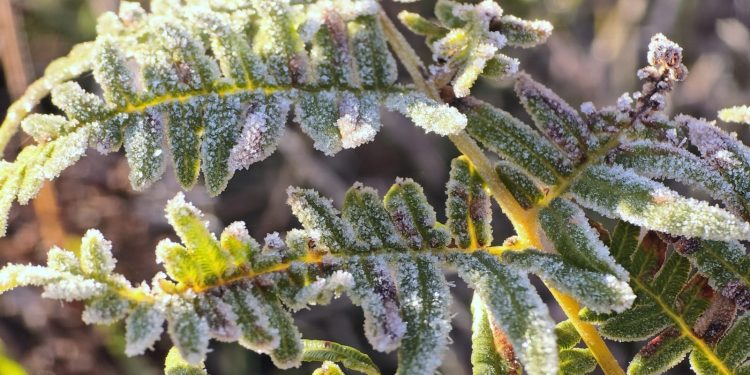 Sensação de -12ºC em SC e manhã mais fria em SP: cidades amanhecem com baixas temperaturas