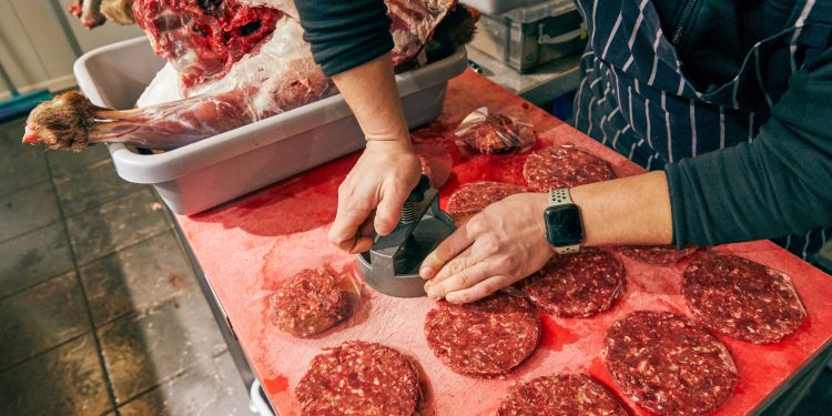 Trump estuda facilitar importação de carne nos EUA: veja o que empresas brasileiras podem ganhar com isso