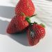 Uma fruta mofada estraga a caixa inteira?
