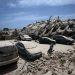 Após terremotos na Venezuela: Relembre alguns dos desastres sísmicos mais mortais da América Latina no último século