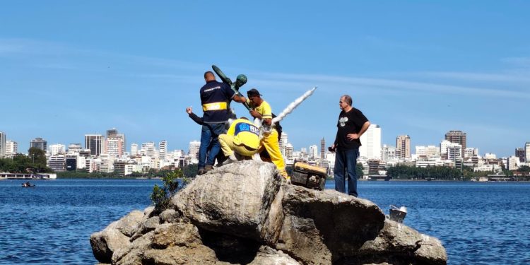 Curumim volta à Lagoa Rodrigo de Freitas após obras de restauração