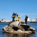 Curumim volta à Lagoa Rodrigo de Freitas após obras de restauração
