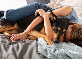 Dividir a cama com o seu bicho de estimação faz bem ou mal para a saúde?