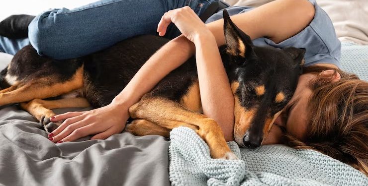 Dividir a cama com o seu bicho de estimação faz bem ou mal para a saúde?