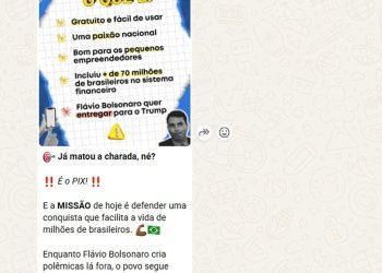 Em grupo de WhatsApp oficial de Lula, post defende Pix e diz que 'Flávio Bolsonaro cria polêmicas lá fora' — Foto: Reprodução/Redes sociais