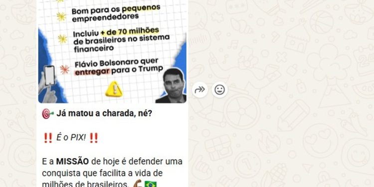 Em grupo de WhatsApp oficial de Lula, post defende Pix e diz que 'Flávio Bolsonaro cria polêmicas lá fora' — Foto: Reprodução/Redes sociais