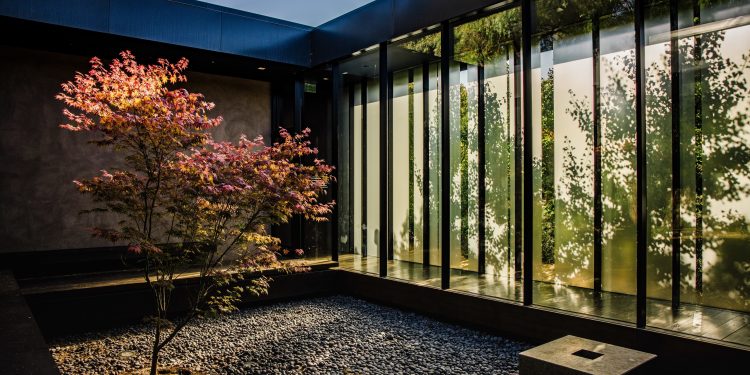 Feng Shui e abundância: dicas para atrair prosperidade ao lar antes da chegada do inverno
