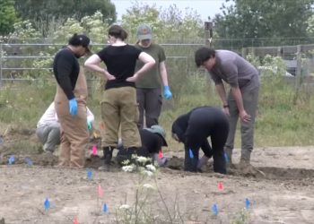 Investigadores encontram restos mortais de 117 cães em abrigo que se dizia 'sem abate' na Califórnia