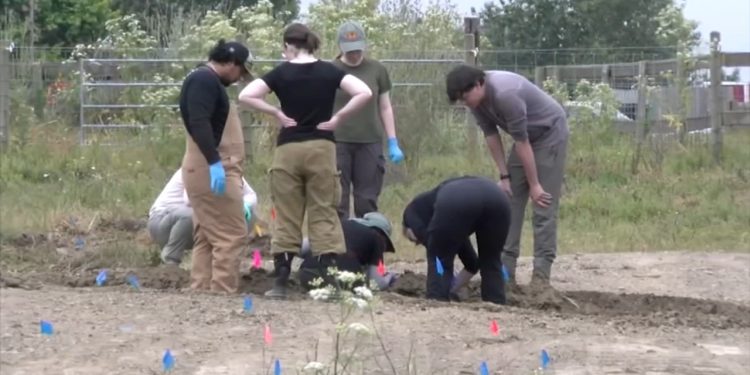 Investigadores encontram restos mortais de 117 cães em abrigo que se dizia 'sem abate' na Califórnia