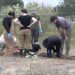 Investigadores encontram restos mortais de 117 cães em abrigo que se dizia 'sem abate' na Califórnia