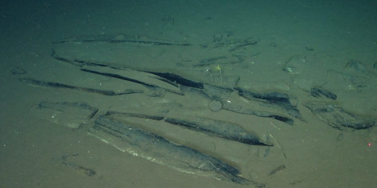 Uma nova espécie de baleia, embora extinta, também foi identificada entre os quase 500 esqueletos encontrados a até 7.000 metros de profundidade ao longo de um corredor de ossos de 1.200 quilômetros no Oceano Índico, a oeste da Austrália — Foto: DIVULGAÇÃO / TENDÊNCIA GLOBAL, IDSSE / AFP