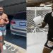 Morre aos 45 anos o angolano Jay Silva, ex-lutador do UFC e veterano do MMA internacional