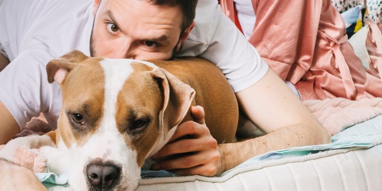 Seu cachorro sofre quando fica sozinho? Estudo mostra o que está por trás e especialista dá orientações práticas