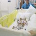 Um a cada 10 milhões: entenda cirurgia que separou gêmeas siamesas unidas pela cabeça e envolveu médicos do Brasil e de outros três países — Foto: Reprodução