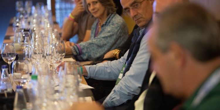 Sala de Provas na edição paulistana no Vinhos de Portugal 2026 — Foto: Rogerio Vieira/Valor