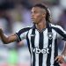 Botafogo vê Palmeiras distante e tenta fechar venda de Danilo para Zenit ou Newcastle