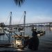 Braço da BlackRock estrutura consórcio para comprar Porto Sudeste com Vale e Gerdau, diz agência