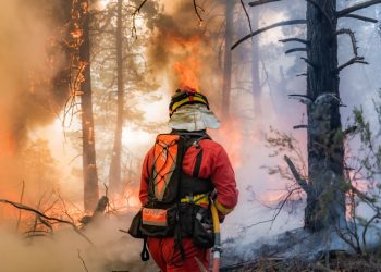 Calor extremo agrava incêndios na Europa, e Espanha decreta emergência nacional