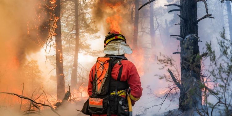 Calor extremo agrava incêndios na Europa, e Espanha decreta emergência nacional