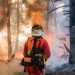 Calor extremo agrava incêndios na Europa, e Espanha decreta emergência nacional