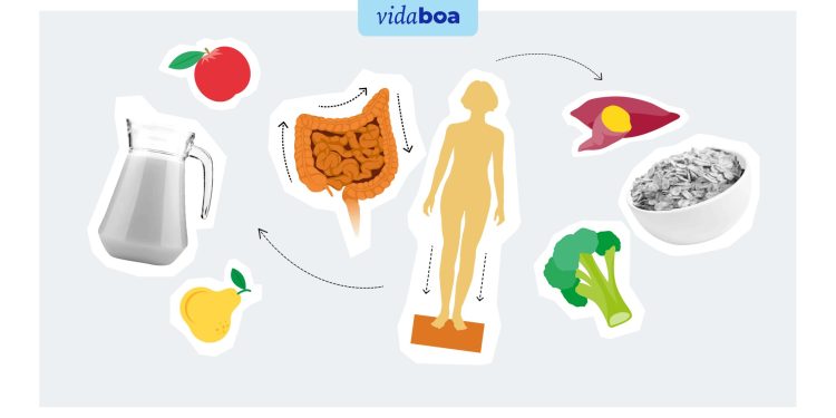 Consumir aveia todos os dias é o suficiente? Guia tira principais dúvidas sobre as fibras