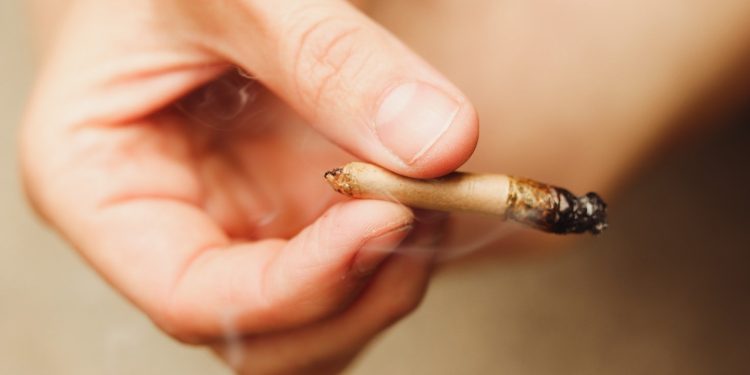 Creepy: o que é a maconha mais potente de todas?