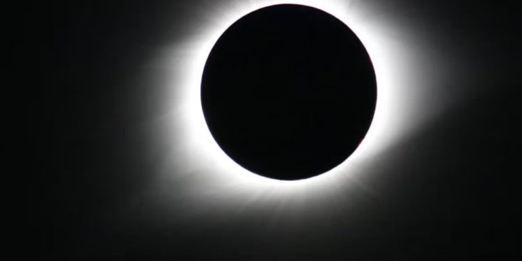 Eclipse solar em agosto: o que acontece com os animais e como isso altera seus ciclos naturais?