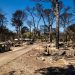 Sestroços e carros carbonizados no camping 'Le Brasilia', um dia após um incêndio ter começado em Canet-en-Roussillon, no sul da França, em 3 de julho de 2026 — Foto: JEAN-CHRISTOPHE MILHET / AFP