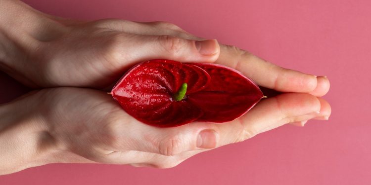 Estimular demais o clitóris pode reduzir o prazer? O que acontece quando o excesso vira desconforto